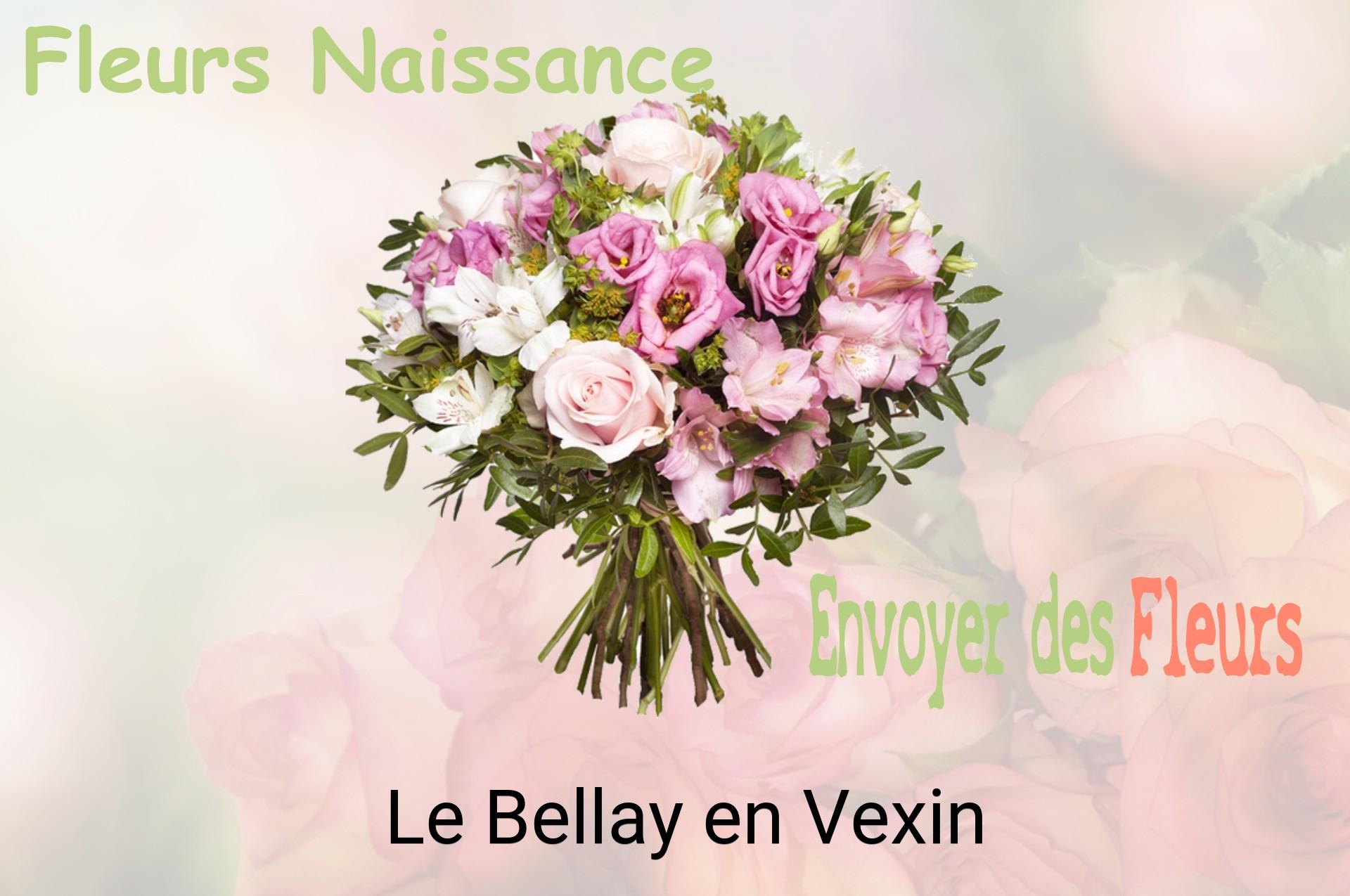 Bouquet de fleurs de naissance livré à Le Bellay-en-Vexin