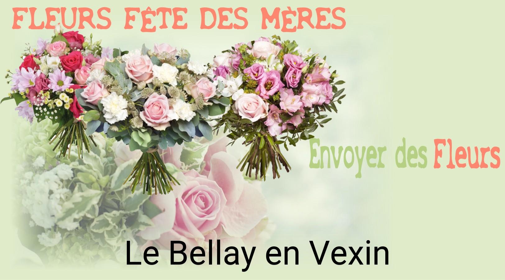 Bouquet de Fête des Mères livré à Le Bellay-en-Vexin